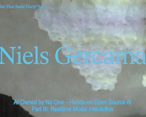 Niels Gercama: AI owned by no-one. Part III: Realtime Model Interaction