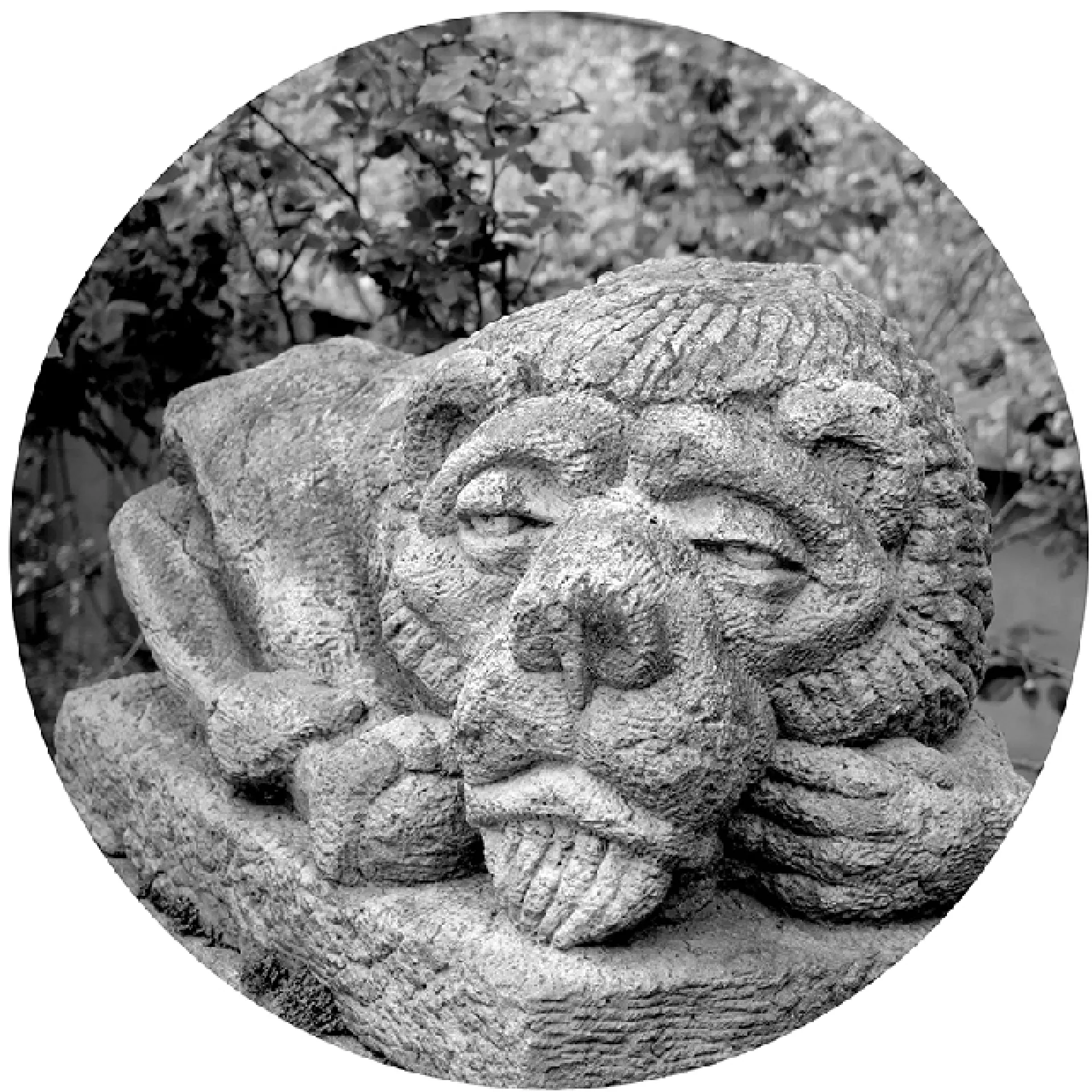 Heidi Specker: LÖWEN