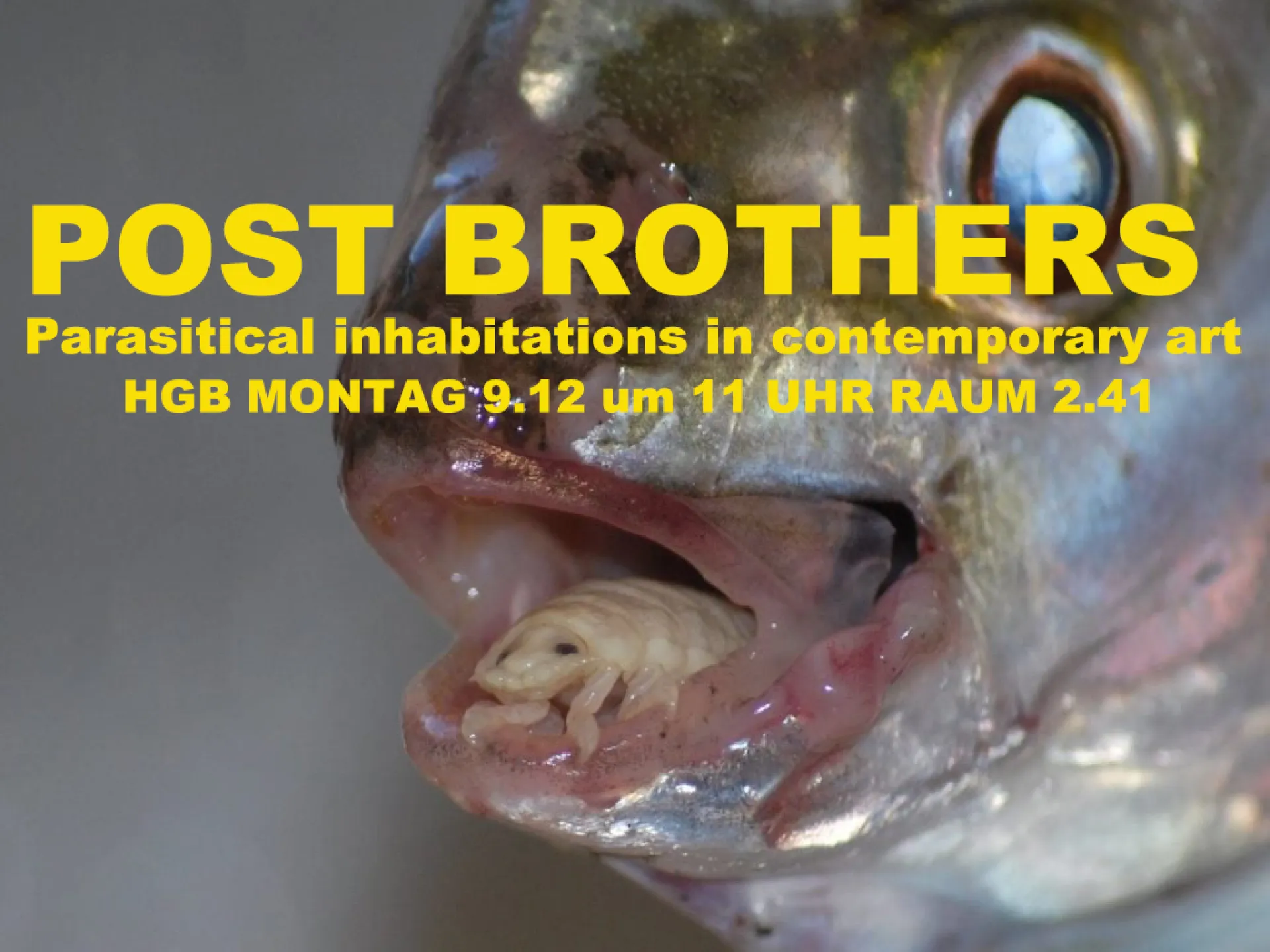 Postbrothers: Parasitical inhabitations in contemporary art  