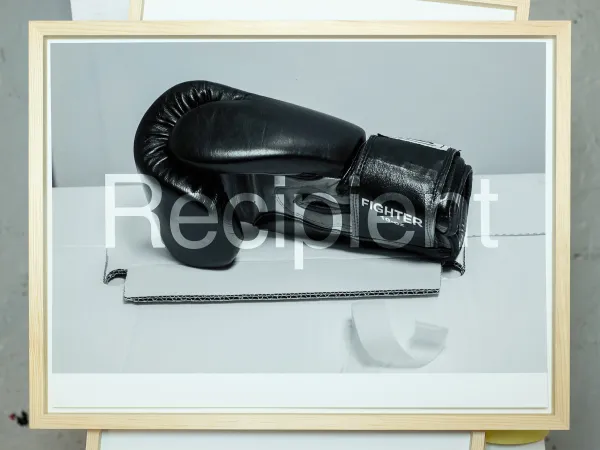 Recipient (Fighter), 2025