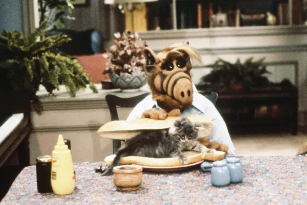 Alf mit Katzensandwich