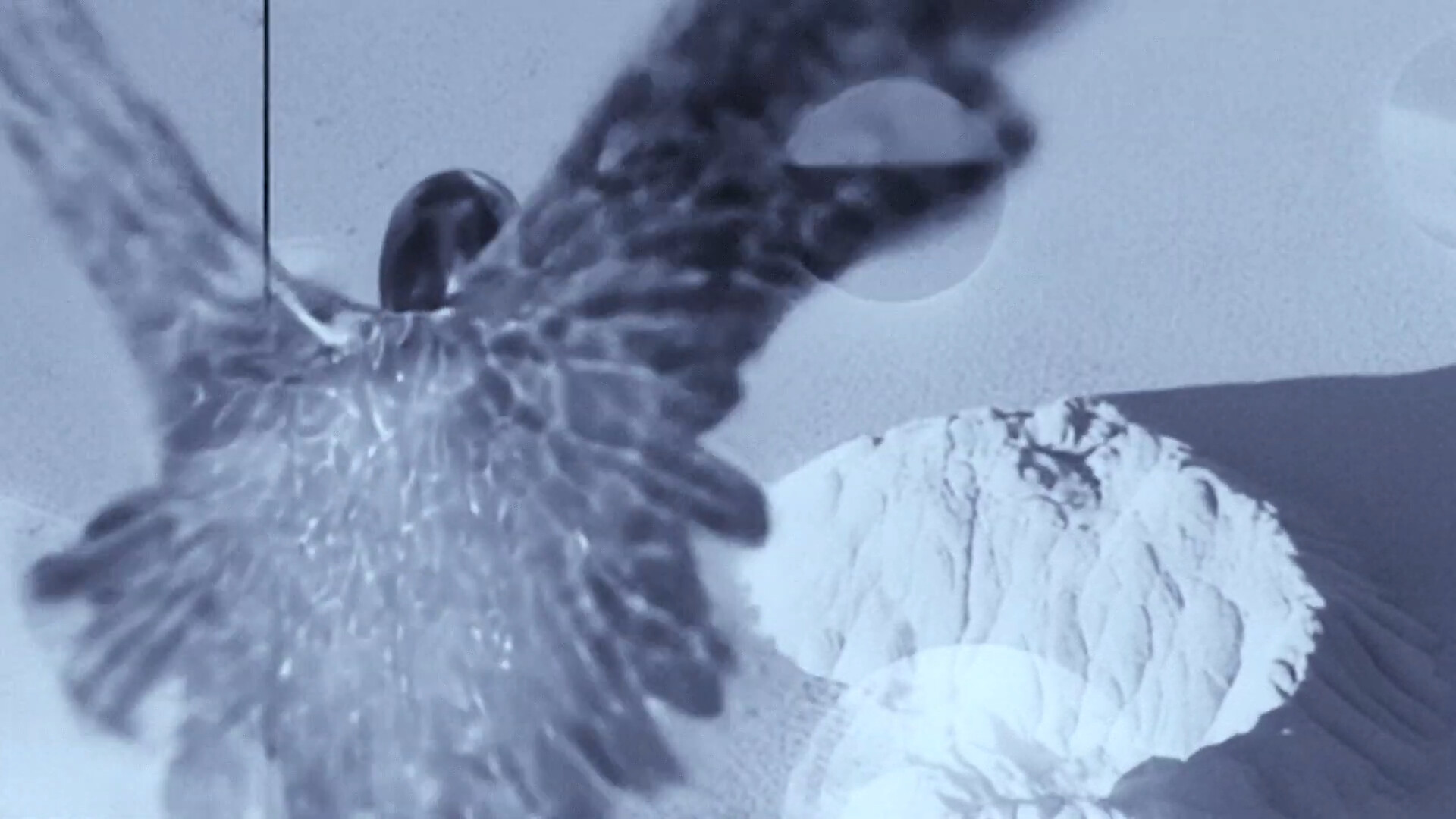 Präsentationen aus dem HGB AI Lab 2.0<br> AI owned by No One