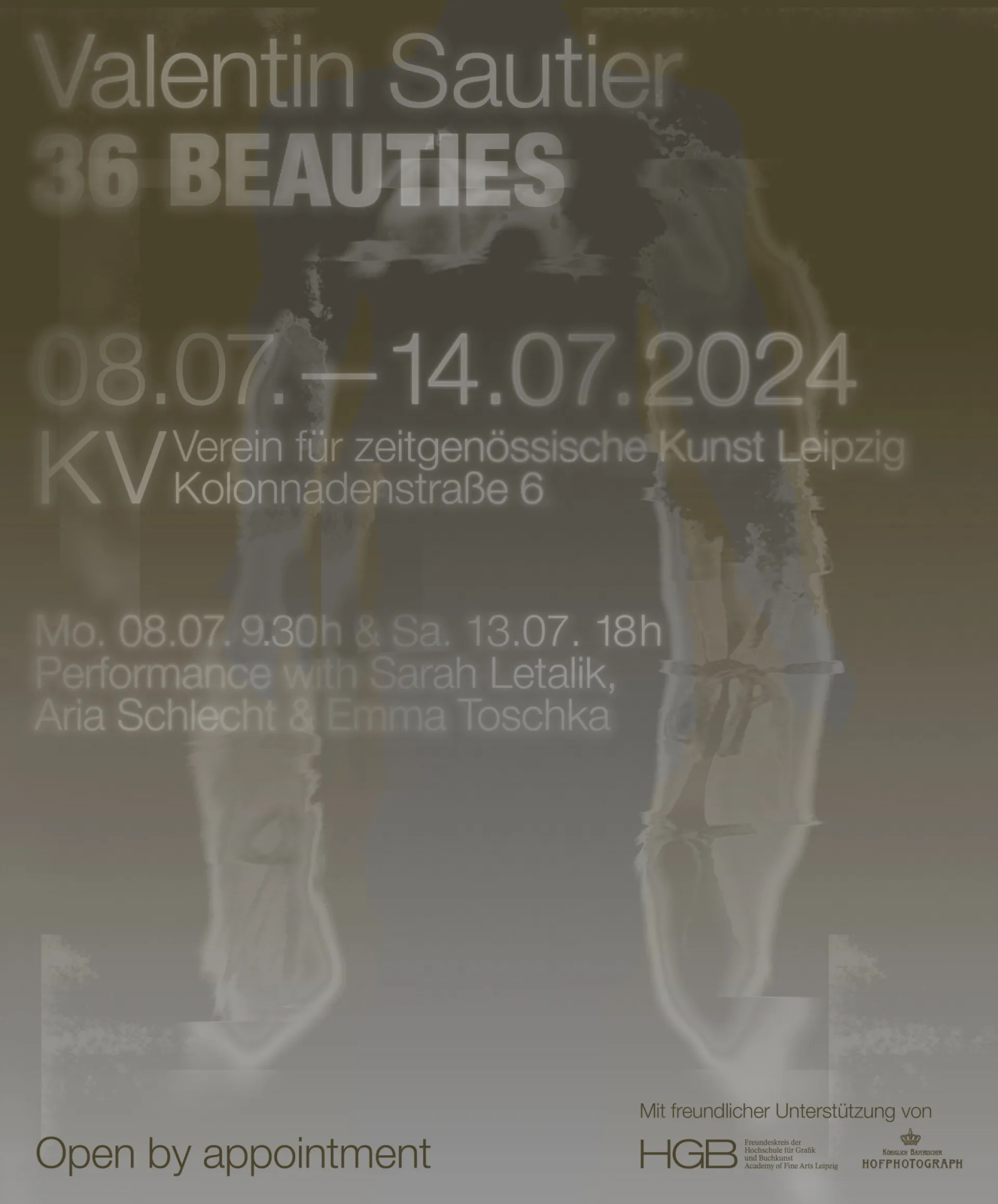 Valentin Sautier: 36 BEAUTIES
