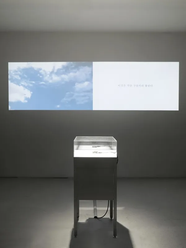 Invitation Writing Club by Sohyeon Lee