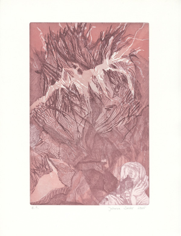 Johanna Sander: o.T.