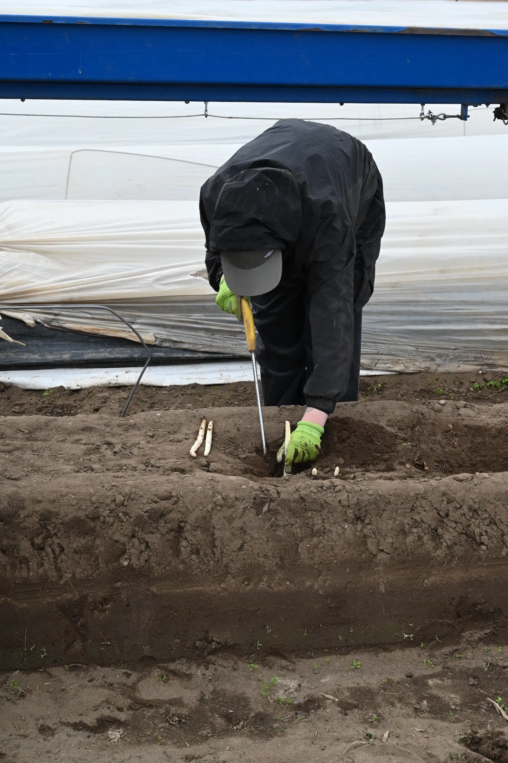 Susanne Keichel u.a. beim Krakow Photomonth: Unreal Estate