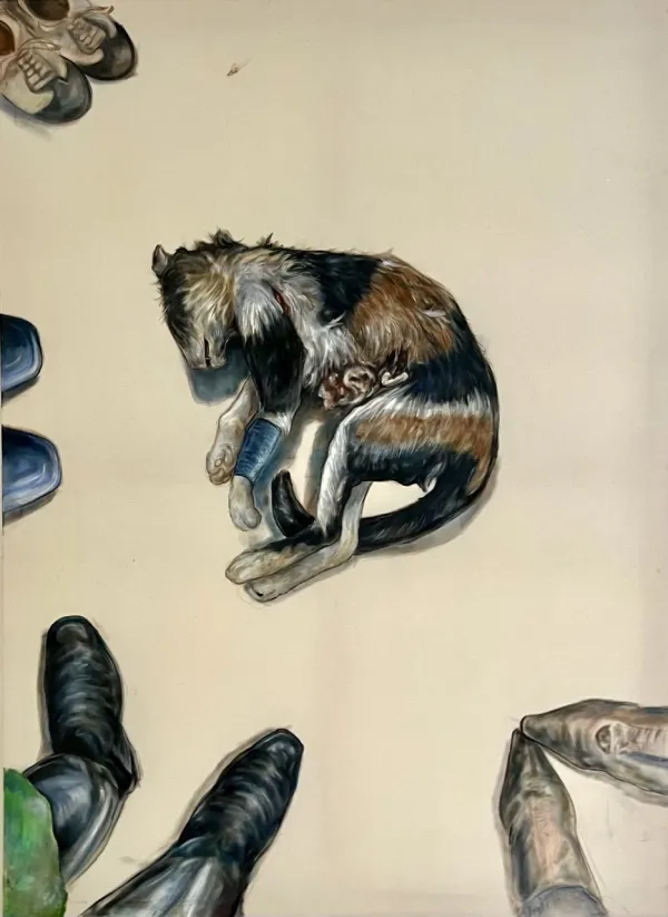 ‎ 