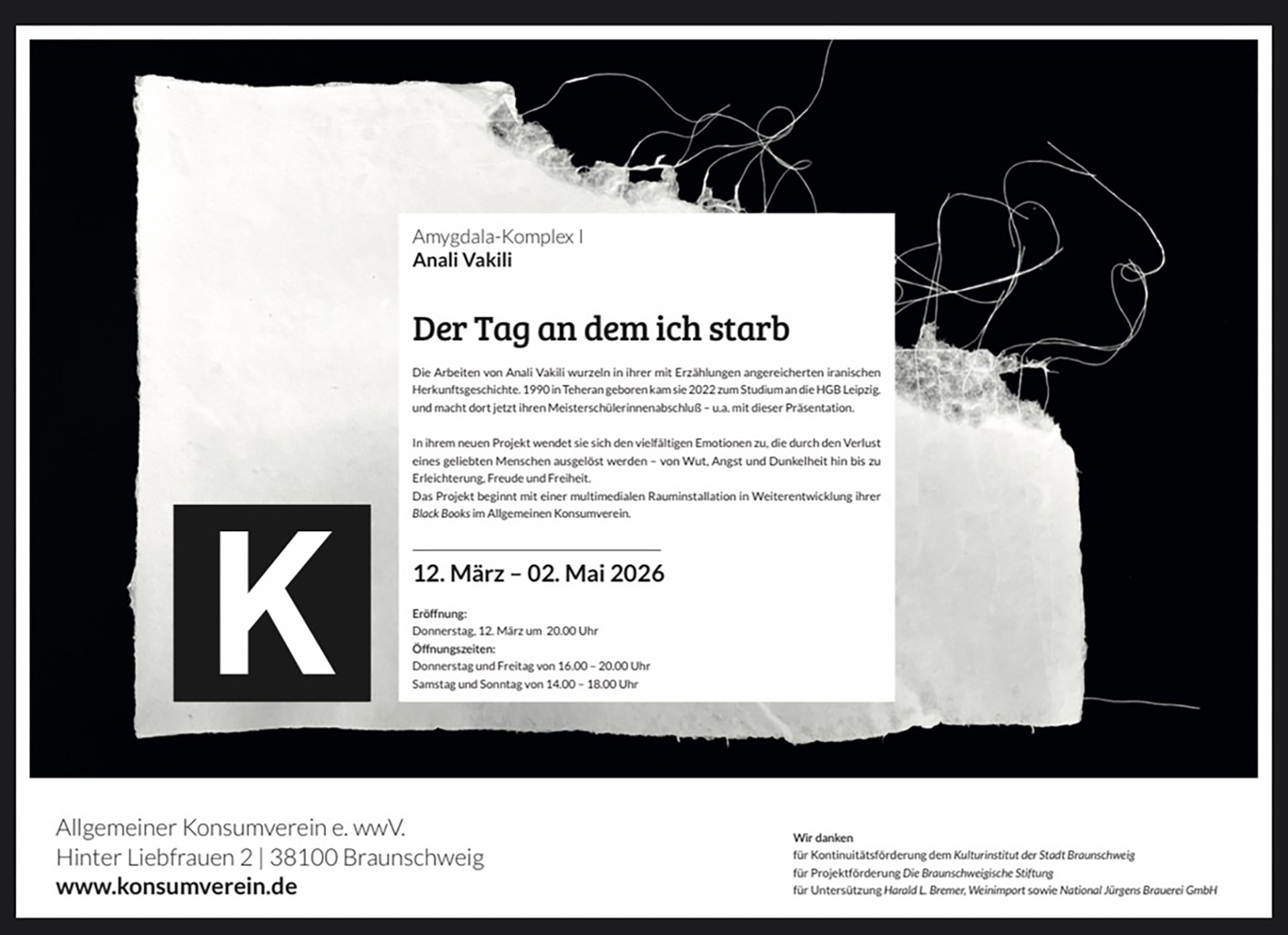 Anali Vakili: The Day I Died