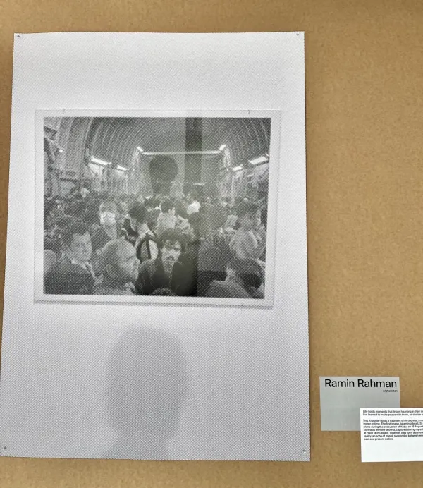 Once we were trees, now we are birds