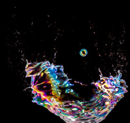 GENDER, MEDIEN und AFFEKT