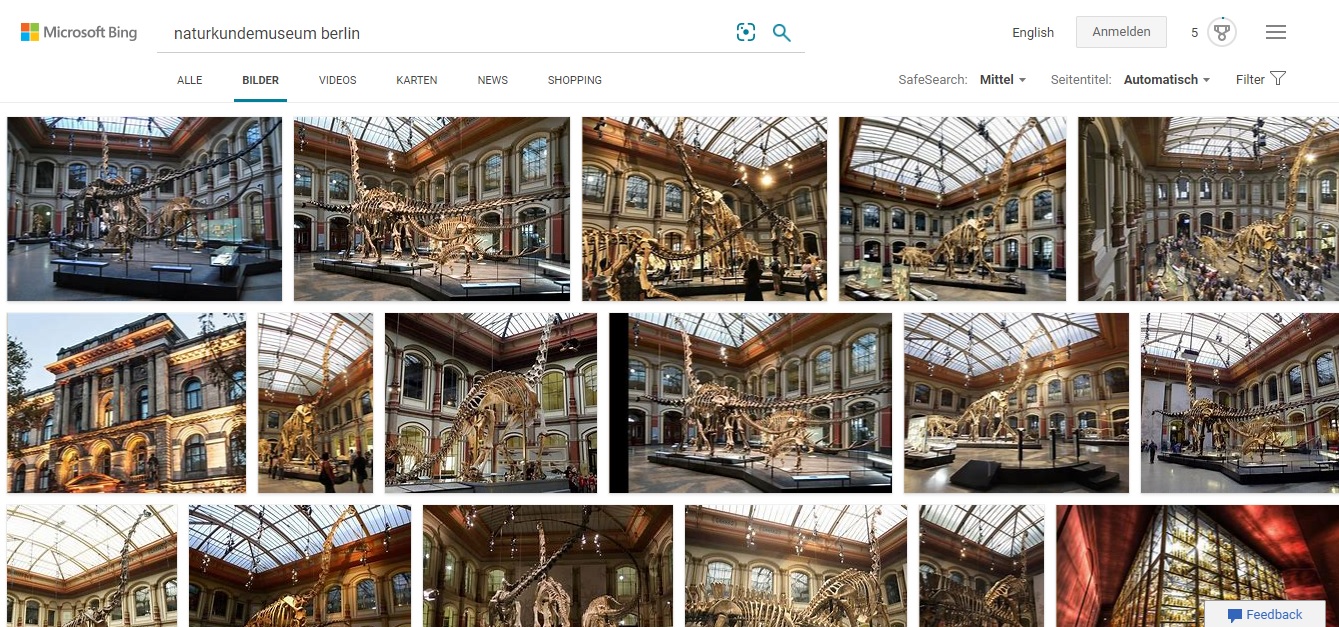 search results for naturkundemuseum berlin